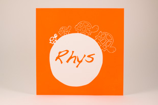 Oranje geboortekaartje met een witte werledbol, waar de naam Rhys in staat. Op de bol lopen 4 schildpadjes